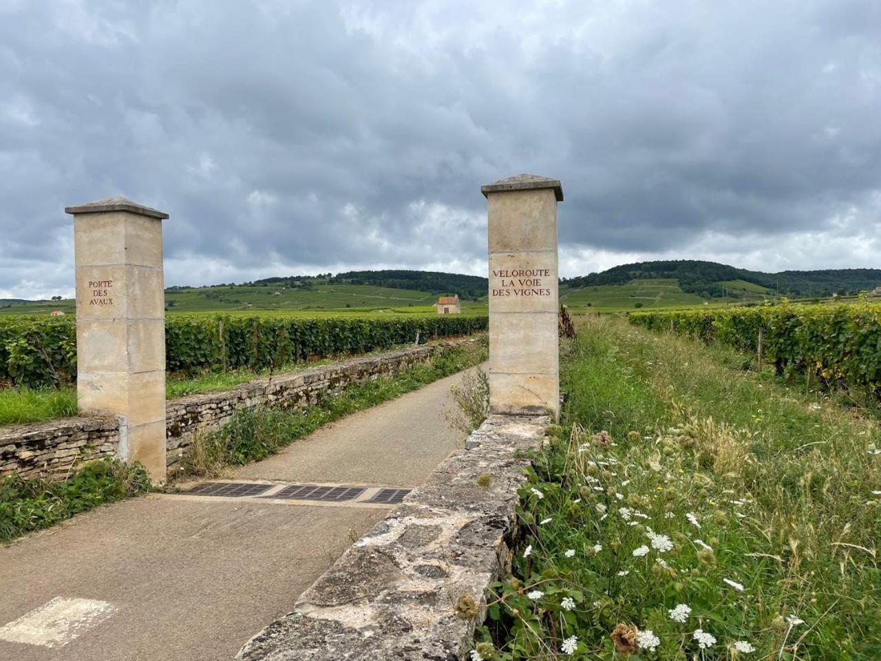 Le Jardin Des Verottes Beaune  Exterior foto