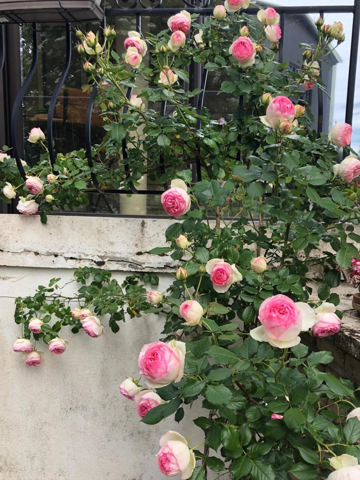 Le Jardin Des Verottes Beaune  Exterior foto